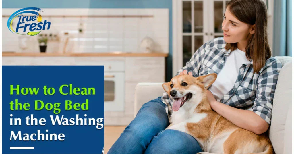 How to clean a dog bed